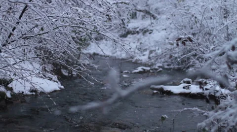 Snowy Creek Stock Footage 44560401