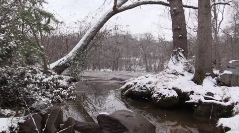 Snowy Creek - Tree overhang - Loopable Stock Footage 47244087