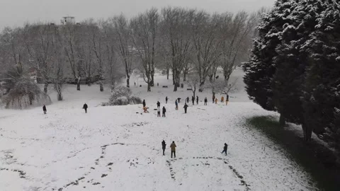 Snowy Day 2 Stock Footage 147526142