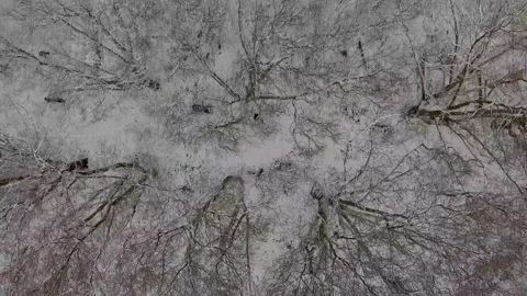 Snowy Day 3 Stock Footage 147526165