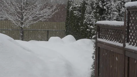 Snowy day backyard Stock Footage 149384848