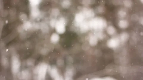 Snowy day. Blurred winter background. Snow dream. Winter cold Stock Footage 147688880