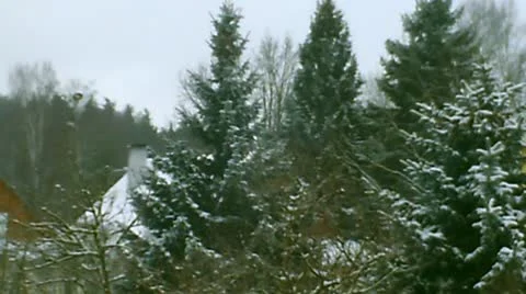 Snowy Day Video stock 10610009