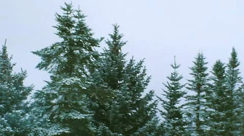 Snowy Day Video stock 10610028