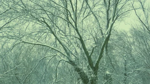 Snowy day 動画素材 49337956