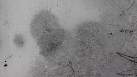 Snowy Day Stock Footage 147526161