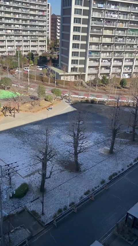 Snowy day Stockbeeldmateriaal 242909807