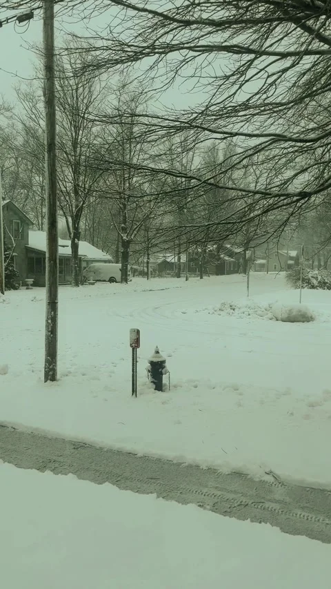 Snowy day Video stock 279522688