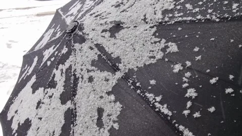 Snowy day Stock Footage 334562076