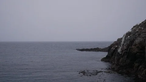 Snowy day at the Ocean Video stock 124254914