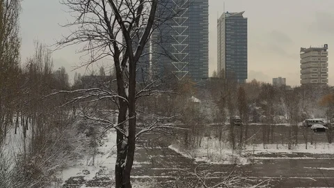 Snowy day in the park Stock Footage 122335958