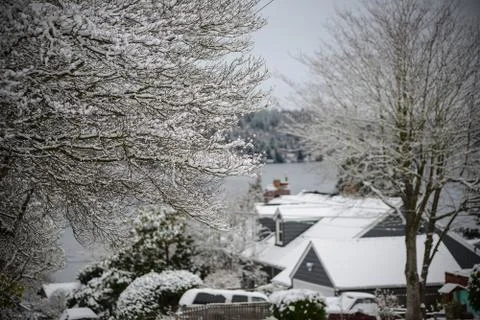 Snowy day Stock Photos