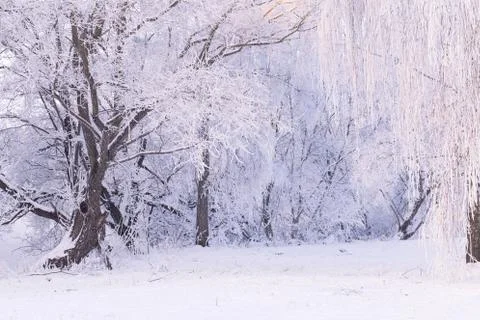 Snowy day Stock-Fotos