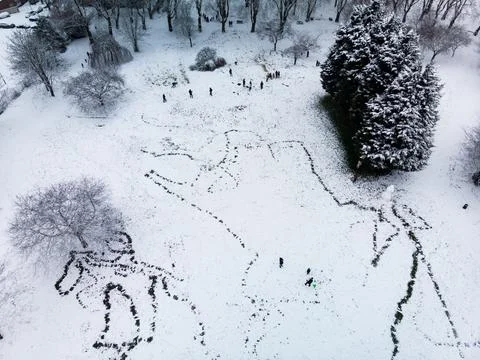 Snowy Day Stock Photos
