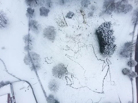 Snowy Day Stock Photos
