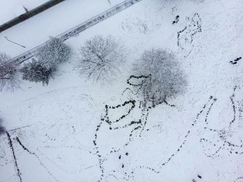 Snowy Day Stock Photos