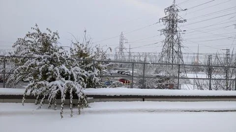 Snowy Day 写真素材