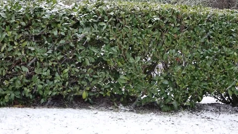 Snowy day shower Stock Footage 151417325