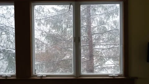 Snowy Day Through Window Stock-Footage 235830534