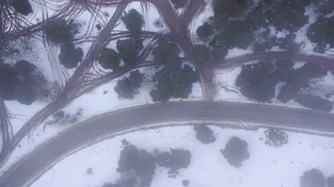 A Snowy day in the woods Stock Footage 170183953