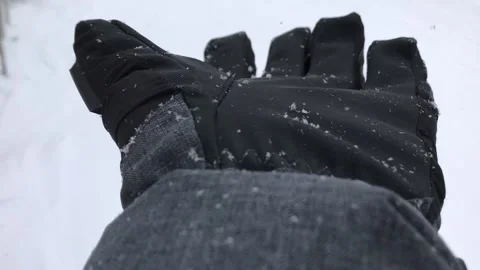 Snowy Days 2 Stock Footage 144064807