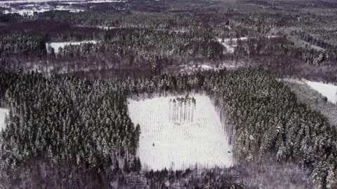 Snowy Deforested Landscape with Empty Rectangular Clearing Blocks Stock Footage 301769974