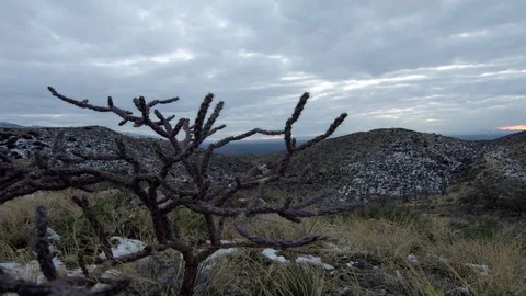 Snowy desert sunset 스톡 동영상 84173988