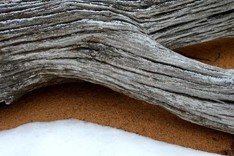 Snowy Driftwood Stock Photos