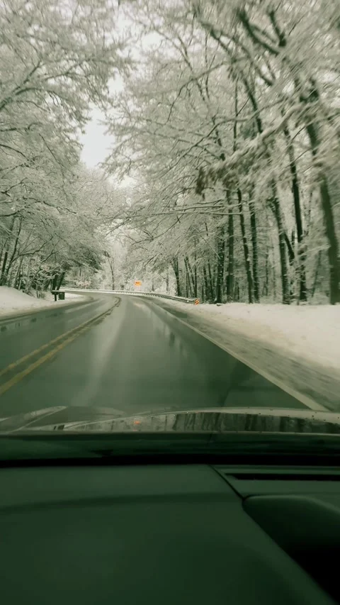 Snowy drive Stock Footage 279522841