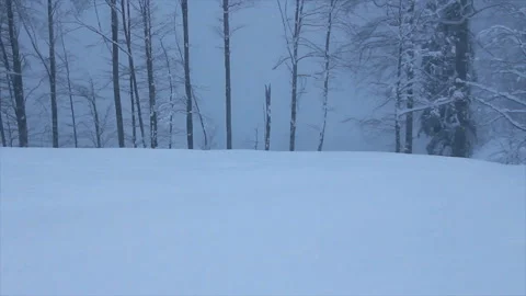 At the snowy edge of the forest Stock Footage 170761280