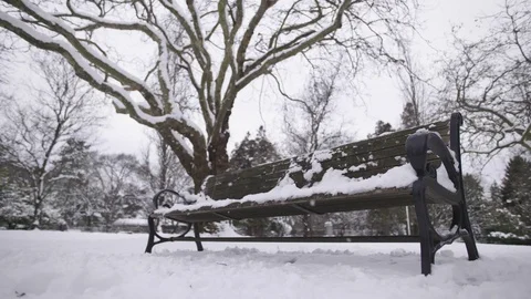 Snowy Empty Park Bench In The Winter 库存影片 102807805