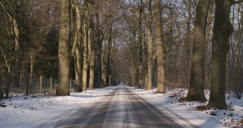 Snowy Empty Road With Lots Of Trees Video stock 127631736