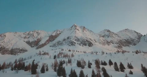 Snowy Expanse of Trees Stockbeeldmateriaal 126163705