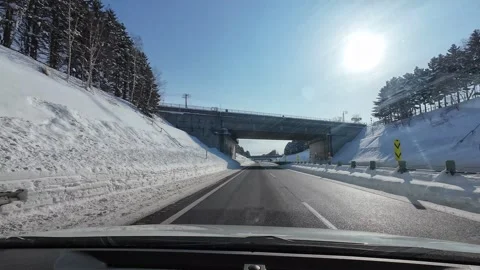 Snowy expressway drive through bridge underpass with symmetrical pine trees Stock Footage 333229865