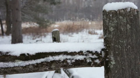 Snowy Fence Video stock 50762700