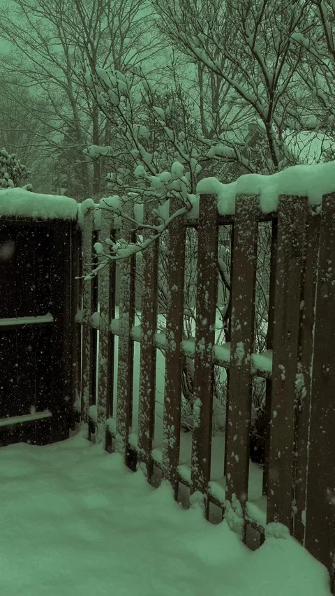 Snowy fence Stock Footage 279522765