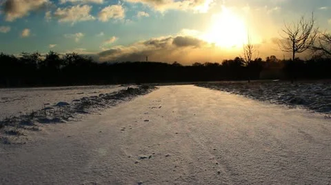 Snowy field 02 動画素材 13768993