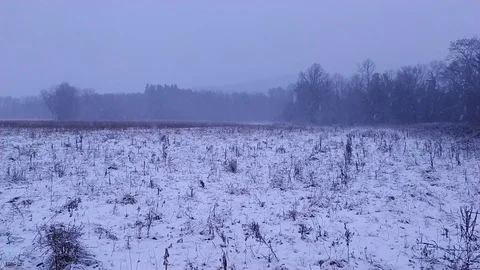 Snowy Field at Dusk Stock Footage 123272658