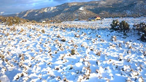 Snowy field flyover Stock Footage