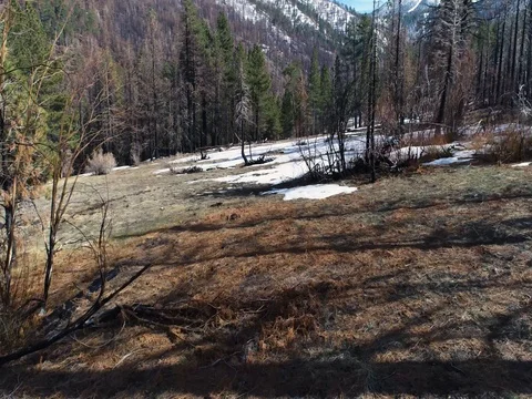 Snowy Field Stockbeeldmateriaal 78107629
