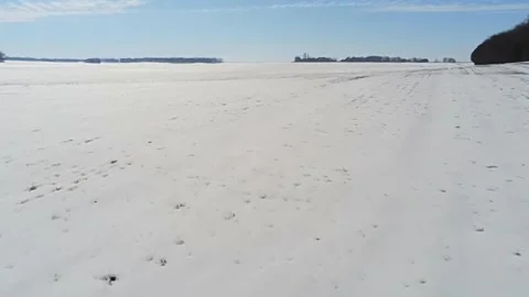 A snowy field makes a beautiful winter scene in south central Kentucky Vidéo 342085393