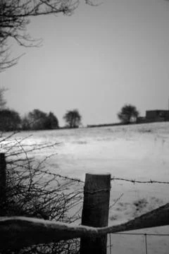 Snowy field Stock Photos