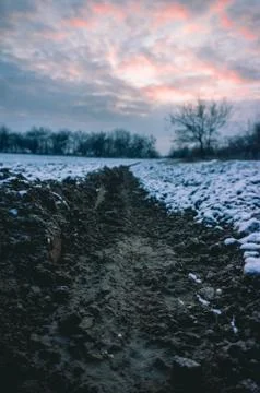 Snowy field Stock Photos