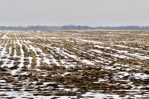 Snowy Field Rows Stock Photos