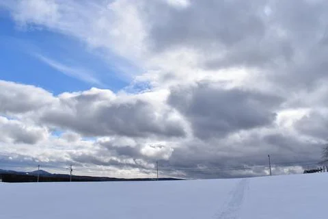 A snowy field in spring Stock Photos