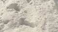 snowy field tilt up HD Footage