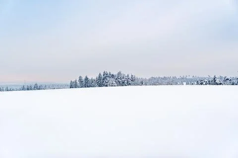 A snowy field with trees in the background Stock Photos
