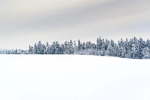 A snowy field with trees in the background Stock Photos