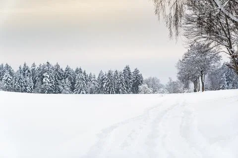 A snowy field with trees in the background Stock Photos