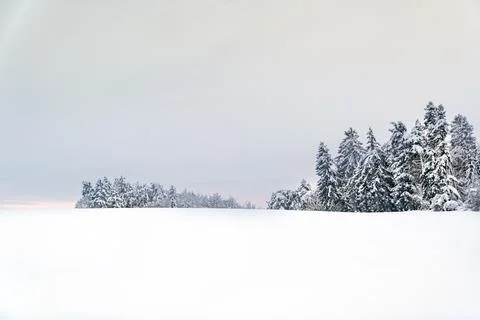 A snowy field with trees in the background Stock Photos